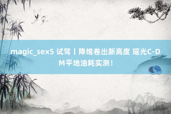 magic_sex5 试驾丨降维卷出新高度 瑶光C-DM平地油耗实测！