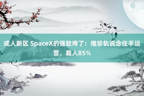 成人新区 SpaceX的强敌垮了：维珍轨说念住手运营，裁人85%