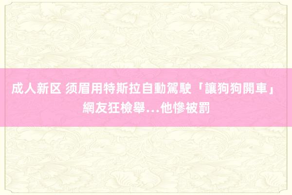 成人新区 须眉用特斯拉自動駕駛「讓狗狗開車」　網友狂檢舉…他慘被罰