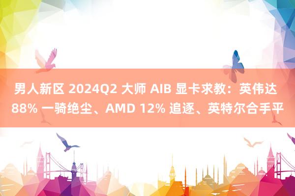 男人新区 2024Q2 大师 AIB 显卡求教：英伟达 88% 一骑绝尘、AMD 12% 追逐、英特尔合手平