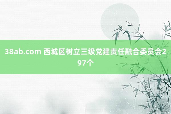 38ab.com 西城区树立三级党建责任融合委员会297个