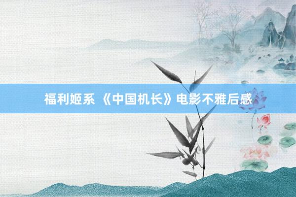 福利姬系 《中国机长》电影不雅后感