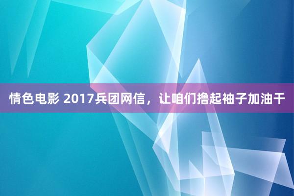 情色电影 2017兵团网信，让咱们撸起袖子加油干