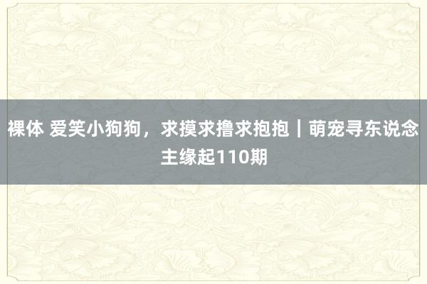 裸体 爱笑小狗狗，求摸求撸求抱抱｜萌宠寻东说念主缘起110期