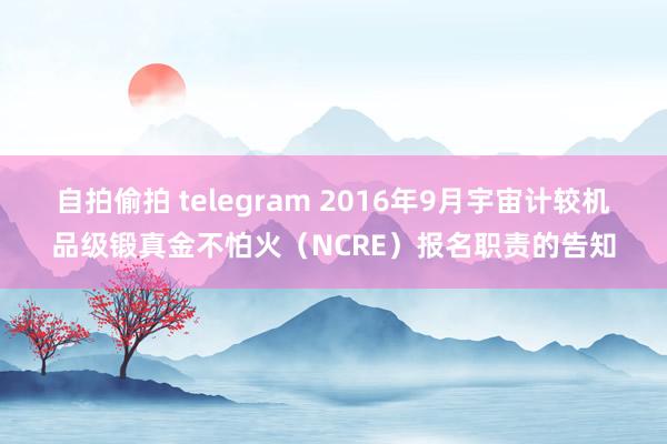 自拍偷拍 telegram 2016年9月宇宙计较机品级锻真金不怕火（NCRE）报名职责的告知