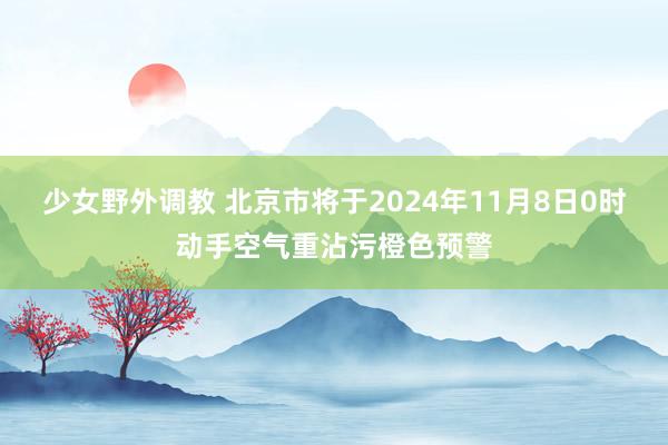 少女野外调教 北京市将于2024年11月8日0时动手空气重沾污橙色预警