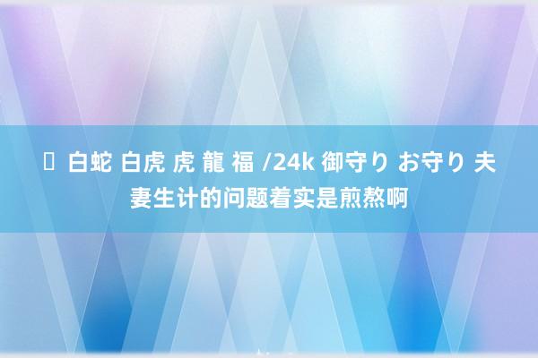 ✨白蛇 白虎 虎 龍 福 /24k 御守り お守り 夫妻生计的问题着实是煎熬啊