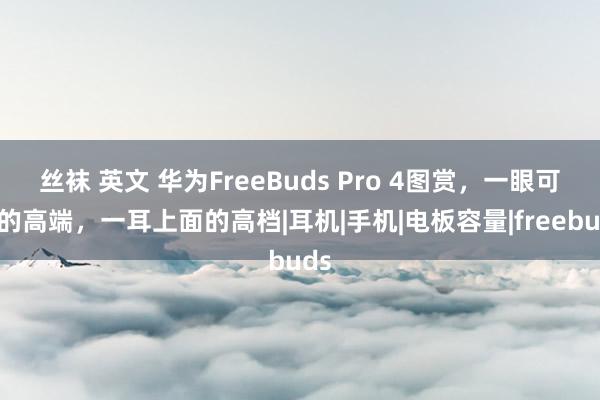 丝袜 英文 华为FreeBuds Pro 4图赏，一眼可辨的高端，一耳上面的高档|耳机|手机|电板容量|freebuds